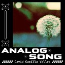 David Camilla Valles - Analog Song