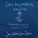 Juan Esteban Su rez Ladino - Mis Armas