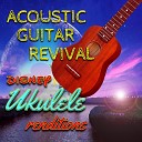 Acoustic Guitar Revival - A Whole New World
