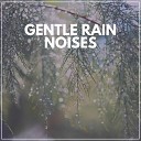 calming rainforest sounds - Reassuring Rain Noises