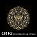 Sound Traveller - 528 Hz Miracle Vibration of Love