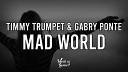 Timmy Trumpet Gabry Ponte - Mad World BassBoosted by Николай Богдашов…