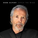 Herb Alpert - Summertime