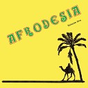Afrodesia - Desert Storm