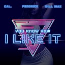 CAL feat Will Diaz Pendrick - You Know How I Like It