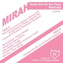 Mirah - Gone Are All the Days Hooliganship Mix