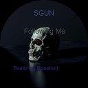 SGUN feat Rosebud - Following Me