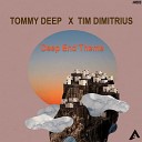 Tim Dimitrius - End Theme