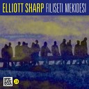 Elliott Sharp Ensemble Musikfabrik Voxnova Italia Kamilya… - Endless MIgration