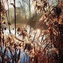 Musica Relajante Para Dormir M SICA PARA NI OS Meditaci n… - Amanecer De La Inocencia