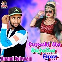 Anand Ashwani - Ninaai Bhayi