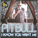Pitbull - I Know You Want Me Den Exclusive Remix Radio…