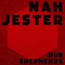 Dub Shepherds Jolly Joseph - Tell Me What You Really Want