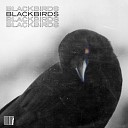 3 roses - Blackbirds Pt 2