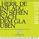 Orchester der J S Bach Stiftung Rudolf Lutz - 3 Arie Alt Weh der Seele die den Schaden nicht mehr kennt…