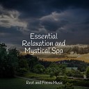 Music for Absolute Sleep Relaxing Sleep Sound Yoga… - Transcendence