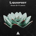 Liquidfoot - Dawn Of Flowers