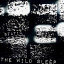 the wild sleep - A War in Time of Peace