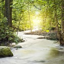 The Relaxing Sounds of Swedish Nature - Rippling Water Streams