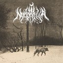 Nyctophilia - Lost in the Winter Landscape