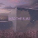 Into the Bliss - Soft Waterfall