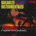 Conjunto Los Cardenales - Cantares De Zaragoza