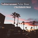 Subterranean Polar bear - Age of New Era (Pradigm Shift)