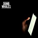 Dumb Whales - The Great Divide