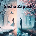 Sasha Zapusk - Отношения