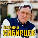 Евгений Сибирцев - Скрипач
