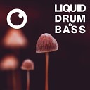 Dreazz - Liquid Drum Bass Sessions 2020 Vol 34