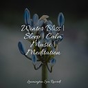 Sound Healing Center Restaurant Background Music Meditative Music… - Windy Waves