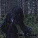 dvedva - Cold Notes