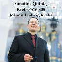 Vidas Pinkevicius - Sonatina Quinta in E Major Krebs WV 805