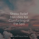 Relaxing Mindfulness Meditation Relaxation Maestro Chakra Meditation Universe… - As the Lamb Sleeps