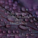 Echoes of Nature Meditation Relaxation Club Spa Brainwave… - Dusk