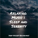 Spa Easy Sleep Music Musique Zen Garden - Bliss in Mind