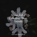 Music to Relax in Free Time Calming Sounds… - Sound Mind Serenity