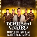 Denilson Castro y Sus Parientes - Acapulco Tropical la Hierba Se Mov a