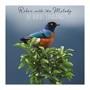 Singing Birds Zone - Wonderful Birds