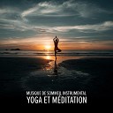 Ensemble de Musique Zen Relaxante - Sons New Age Videz votre esprit