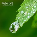 Mothers Nature Music Academy - Be Calm with New Age Sounds