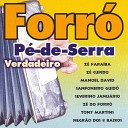 Sanfoneiro Guido - Forr De Propri