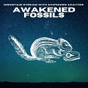 Awakened Fossils - Mountain Stream With Chipmunk Chatter