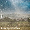 Steve Brassel - Rumbling Storm Wind Sounds Pt 9