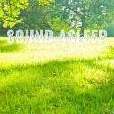 Elijah Wagner - Calming Wind Sounds in the Green Field Pt 2