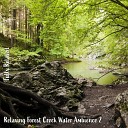 Steve Brassel - Relaxing Forest Creek Water Ambience Pt 1