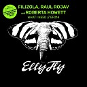 Filizola Raul Rojav Roberta Howett - What I Need Radio Edit