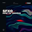 SFXO - How Ya Groove Extended Mix