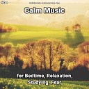 Meditation Music Relaxing Spa Music Yoga - Calm Music Pt 11